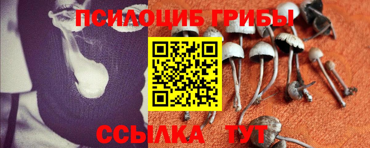 Псилоцибиновые грибы мицелий  Псилоцибиновые грибы ЛСД  Вход с VPN  Елец 